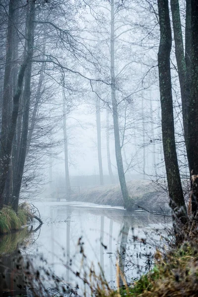 Sötét Erdős Táj Egy Folyó Fák Ködben Egy Felhős Téli — Stock Fotó