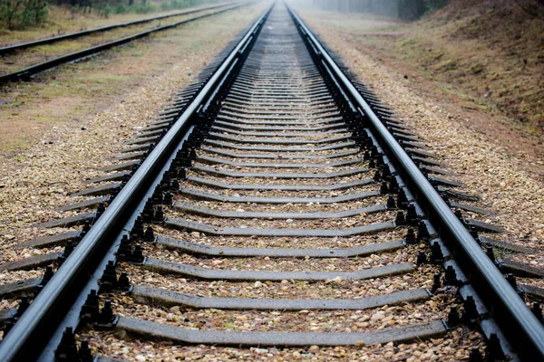 Misty Railroad Evening Close Latvia — Stock Photo, Image