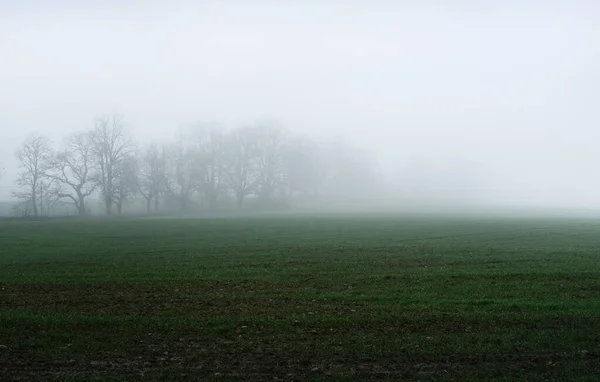 乡村风景 一片空旷的农田 晨雾弥漫 森林和房子的背景 — 图库照片