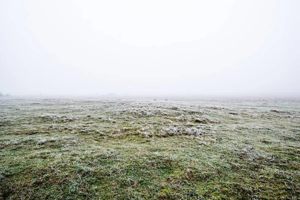 Paesaggio Invernale Campo Nebbioso Mattutino Gelo Neve Sull Erba Lettonia — Foto Stock