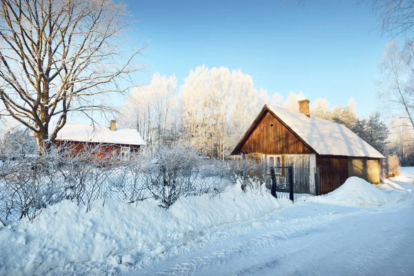 冬天的乡村场景 一间旧木屋的特写镜头 后面是白雪覆盖的桦树 晴朗的蓝天 拉脱维亚 — 图库照片