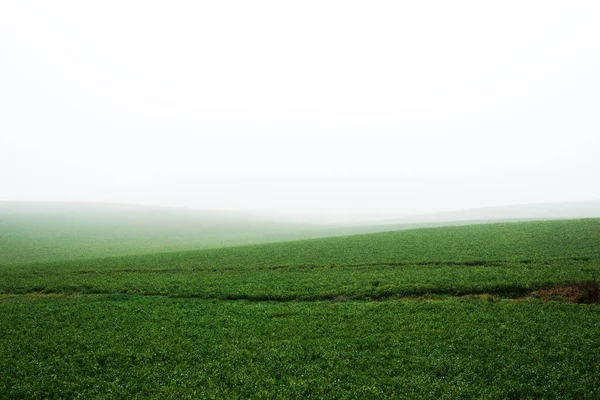 Country Landscape Empty Agricultural Field Strong Morning Fog Forest Houses — Stock Photo, Image