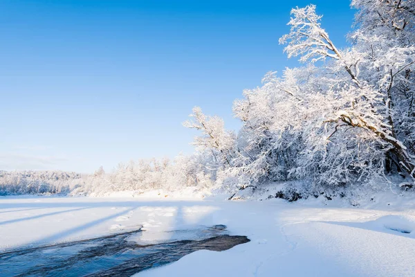 Zamarznięta Rzeka Las Pokryty Śniegiem Śnieżycy Porannej Mgle Czyste Błękitne — Zdjęcie stockowe