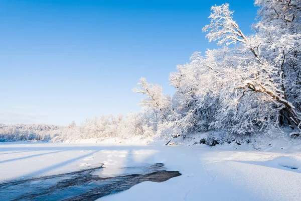 Fiume Ghiacciato Foresta Innevata Dopo Una Bufera Neve Una Nebbia — Foto Stock