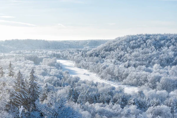 朝のもやの中で吹雪の後 川や雪に覆われた森の空中ビュー 真っ青な空 冬の不思議の国 ゴーヤ国立公園 シグルダ ラトビア — ストック写真