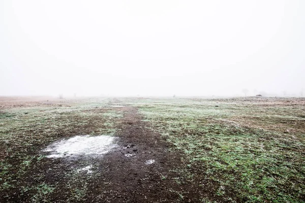 Winter Landscape Misty Morning Field Frost Snow Grass Latvia — Stock Photo, Image