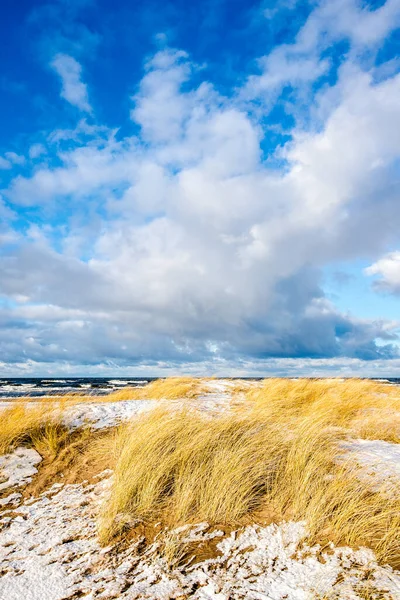 晴れた冬の日には雪に覆われた海岸 北の海 オランダの冷たい嵐の波と雲 — ストック写真