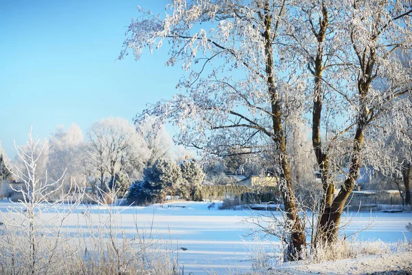 Zonnige Winterdag Uitzicht Bevroren Rivier Besneeuwde Bomen Achtergrond Heldere Blauwe — Stockfoto