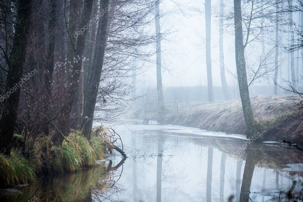 Dark forest landscape. A river and trees in the fog on a cloudy winter day. Latvia