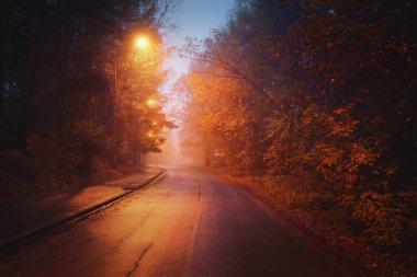 Yağmurlu bir sonbahar gününde, ağaçların ve köyün içinden geçen, boş, asfalt bir köy ve sisli bir yol, yakındaki sokak fenerleri, kırmızı ışık. Yolculuk, ulaşım, iletişim, sürüş