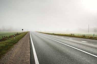 Gün doğumunda sisli bir havada boş otobanın arabasından ormana ve tarlalara doğru panoramik bir manzara. Avrupa. Ulaşım, lojistik, seyahat, yolculuk, özgürlük, sürüş. Kırsal alan