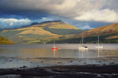 Bulutlu bir günde Loch Fyne yakınlarındaki sahil, orman ve tepelerin manzarası. Inveraray, Inner Hebrides, Argyll ve Bute, İskoçya, İngiltere