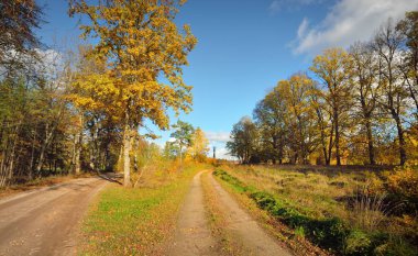 Orman köyünde patika (kırsal yol, sokak). Renkli yeşil, sarı, turuncu, altın yapraklı yaprak döken ağaçlar. Dalların arasından güneş ışınları. Doğal tünel. Sonbahar, mevsimler, çevre