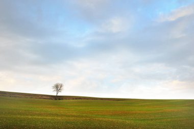 Yeşil tarlada sürülen tarlaların resimli panoramik manzarası. Parlayan bulutlu dramatik gökyüzü, güneş ışığı. Fransa, Avrupa. Sonbahar, mevsimler, ılık kış, iklim değişikliği, turizm, tarım endüstrisi