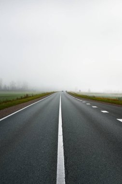 Gün doğumunda sisli bir havada boş otobanın arabasından ormana ve tarlalara doğru panoramik bir manzara. Avrupa. Ulaşım, lojistik, seyahat, yolculuk, özgürlük, sürüş. Kırsal alan