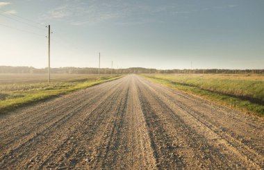 Gün batımında yeşil tarlalardan geçen boş bir köy yolu. Transformatör direkleri yakın çekim. Idyllic kırsal alanı, ABD. Seyahat yerleri, sürüş, özgürlük, turizm, gezi. Arabadan görüntüle