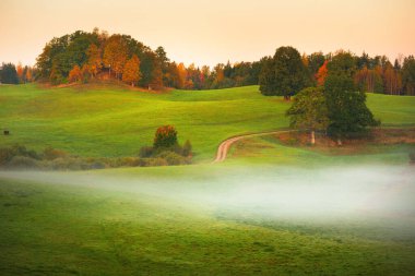 Güneşin doğuşuyla birlikte yeşil tepeler, tarlalar ve ormanın içinden geçen dolambaçlı kırsal bir yolun resimli hava görüntüsü. Meşe, ladin, huş ağacı. Renkli altın, kırmızı, turuncu yapraklar. Doğa, mevsimler, sonbahar