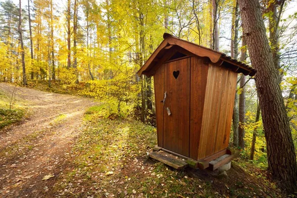 Modern wooden WC cabin in a golden forest (national park), close-up. Autumn landscape. Seasons, ecology, ecotourism, environmental conservation, architecture