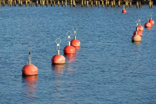 Oranje Meerboeien Nieuwe Jachthaven Jachthaven Close Wateroppervlaktextuur Uitzicht Vanaf Pier — Stockfoto