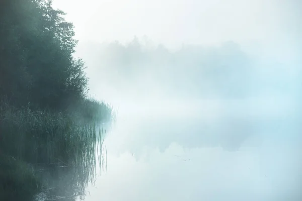 호수의 아름다운 어두운 친환경 — 스톡 사진