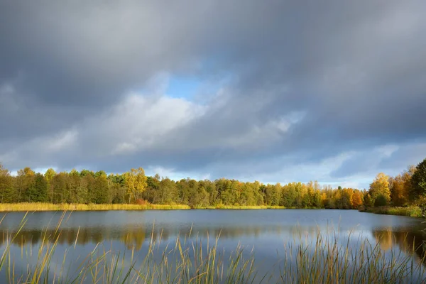 日の出の劇的な空の下で森の湖のパノラマビュー 静かな水の中で装飾的なカラフルな積雲 対称性の反射 黄金の白樺の木を閉じるまで 牧歌的な秋の風景 ヨーロッパ — ストック写真