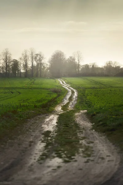 雷雨と雨の後 緑の農業分野を通過するパス ラトビアの春 牧歌的な田園風景 気象学 気候変動 生態学 悪天候 — ストック写真