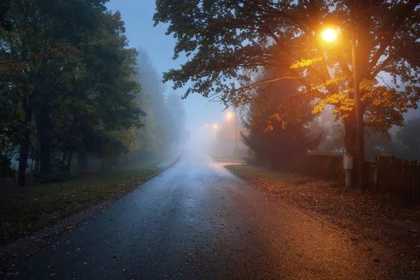 秋天的雨天 一条空旷的 灯火通明的乡间沥青路穿过树林和村庄 街道灯火通明 灯火通明 公路旅行 — 图库照片