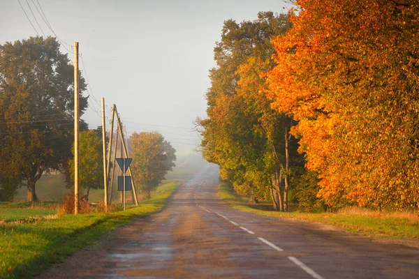 Old Country Asphalt Road Village Fields Forest Electricity Line Close — Stock Photo, Image