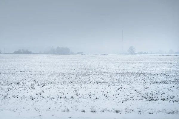 吹雪の前に劇的な暗い雲の下で雪に覆われた農業耕地や森林 冬の田園風景 生態系 気候変動 地球温暖化 — ストック写真
