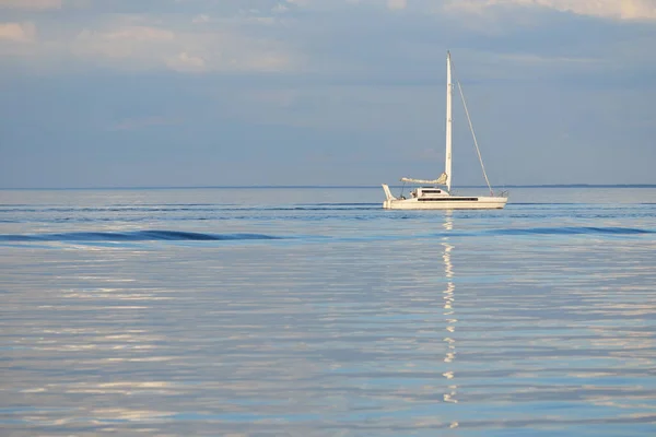 Біла Сучасна Яхта Катамаран Плаває Відкритому Карибському Морі Під Час — стокове фото