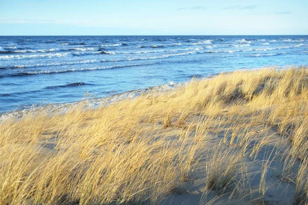 Widok Brzeg Morza Bałtyckiego Zachodzie Słońca Wydmy Rośliny Bliska Czyste — Zdjęcie stockowe