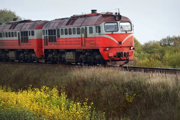 リトアニア バルト諸国 ヨーロッパから秋のフィールドを乗馬近代的な赤い貨物列車 ディーゼル機関車 貨物輸送 グローバル通信 — ストック写真