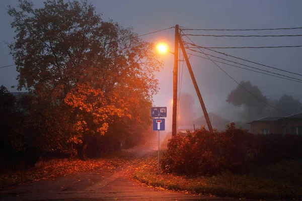 一个空旷的 灯火通明的乡间沥青路 在秋天里的雾中穿过了树林和村庄 在一个雨天里 有变形虫杆 路标和灯笼的特写 — 图库照片