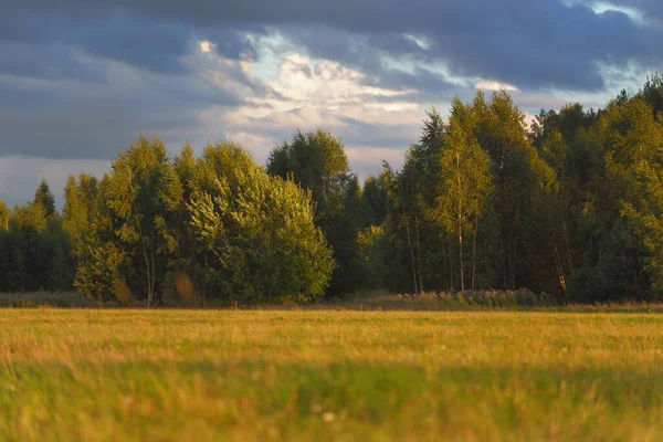 Zielony Kraj Pola Rolne Las Deszczu Dramatyczne Zachody Słońca Epicka — Zdjęcie stockowe