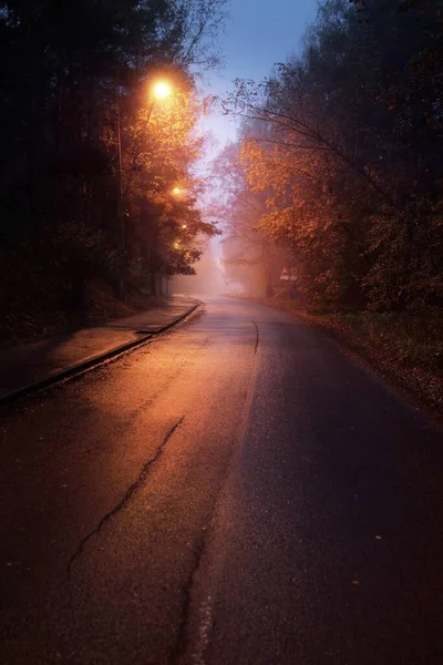一条空旷 灯火通明的乡间沥青路穿过树木 一个小镇在雾中 街灯紧闭 红光闪烁 公路旅行 — 图库照片