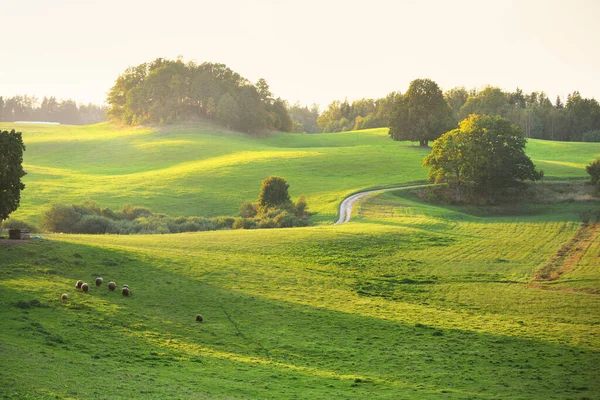 Malerische Panoramalandschaft Der Grünen Hügel Und Wiesen Landwirtschaftliche Felder Bei — Stockfoto