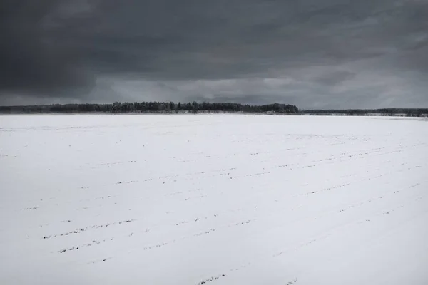 Snow-covered agricultural plowed field and forest under dramatic dark clouds before snowstorm. Winter rural scene. Nature, ecology, environment, climate change, global warming