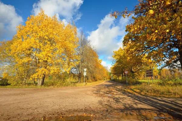 Landsväg Genom Gröna Fälten Och Gyllene Lövträd Lönn Björk Klarblå — Stockfoto