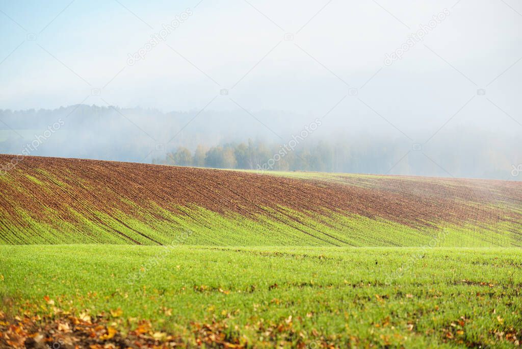 Green hills, plowed agricultural field with tractor tracks and forest at sunrise, close-up. Sunlight, fog, haze. Autumn landscape. Idyllic rural scene. Nature, ecology, seasons, ecotourism. Germany