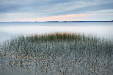 Gün batımında Razna Gölü 'nün panoramik manzarası, arka planda orman. Sudaki simetri yansımaları, doğal ayna. Idyllic sonbahar manzarası. Letgale, Letonya. Doğa, çevre, eko-turizm
