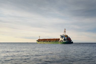 Gün batımında açık denizde yakacak odunları olan büyük yeşil bir kargo gemisi. Görüntüyü algıla. Yük taşımacılığı, ticaret, çevre hasarı, ekolojik sorun, ormanların tahrip edilmesi, siyaset, yolsuzluk