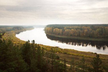 Sonbaharda Daugava nehri kıvrımları ve görkemli çam ormanlarının panoramik hava manzarası. Daugavas Loki doğa parkı, Latgale, Letonya. Ekoloji, eko-turizm, eğlence, seyahat yerleri, dönüm noktaları