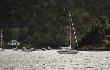 Crinan Kanalı 'nın kayalık kıyısında demirli yelkenliler. Orman tepeleri arka planda. Argyll ve Bute, İskoçya, İngiltere