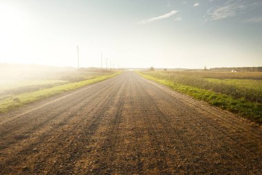 Gün batımında yeşil tarlalardan geçen boş bir köy yolu. Transformatör direkleri yakın çekim. Idyllic kırsal alanı, ABD. Seyahat yerleri, sürüş, özgürlük, turizm, gezi. Arabadan görüntüle