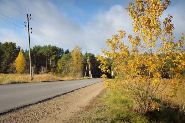 Altın yapraklı ağaçların arasından (meşe, akçaağaç, huş ağacı) ormana giden asfalt yol. Elektrik hattı, yakın plan. Açık mavi gökyüzü. Sonbahar renkleri. Idyllic kırsal kesim. Seyahat, lojistik, mesafe;