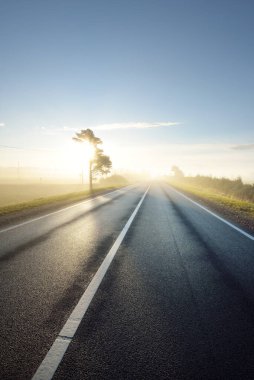 Karayolunun panoramik manzarası (yeni asfalt yolu) gün doğumunda sisli bir havada tarla ve orman boyunca uzanır. Saf altın ışık, berrak gökyüzü. Ulaşım, tatiller, sürüş, özgürlük temaları
