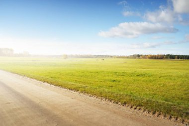 Yeşil tarlalardan ve altın yapraklı ağaçlardan (meşe, akçaağaç, huş ağacı) geçen köy yolu. Açık mavi gökyüzü. Sonbahar renkleri. Idyllic kırsal kesim. Mevsimler, sonbahar, doğa, eko-turizm, lojistik, mesafe