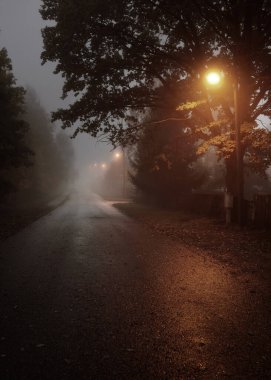Yağmurlu bir sonbahar gününde, ağaçların ve köyün içinden geçen, boş, asfalt bir köy ve sisli bir yol, yakındaki sokak fenerleri, kırmızı ışık. Yolculuk, ulaşım, iletişim, sürüş