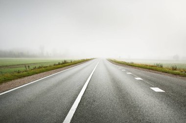Gün doğumunda sisli bir havada boş otobanın arabasından ormana ve tarlalara doğru panoramik bir manzara. Avrupa. Ulaşım, lojistik, seyahat, yolculuk, özgürlük, sürüş. Kırsal alan