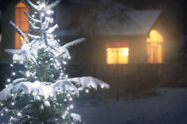 Arka bahçedeki beyaz ışıkların çelengi ile aydınlanan karla kaplı ladin ağacı, yakın plan. Arka plandaki kır evi. Kırsal kesimde kış manzarası. Noel kutlaması, dekorasyon, manzara tasarımı